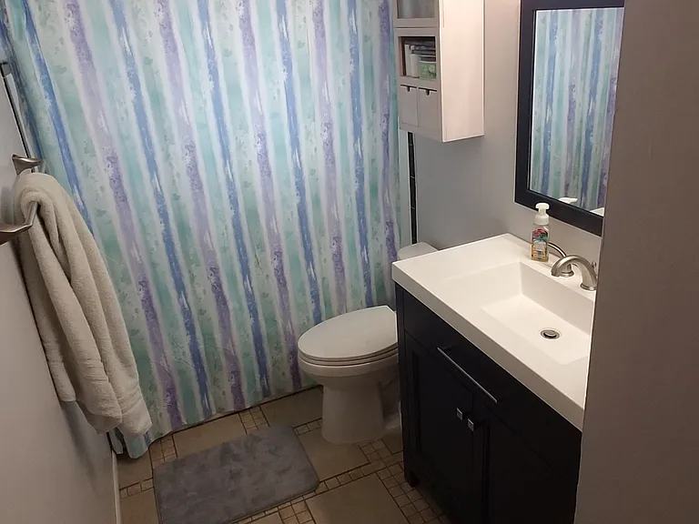 Main bathroom angle 2