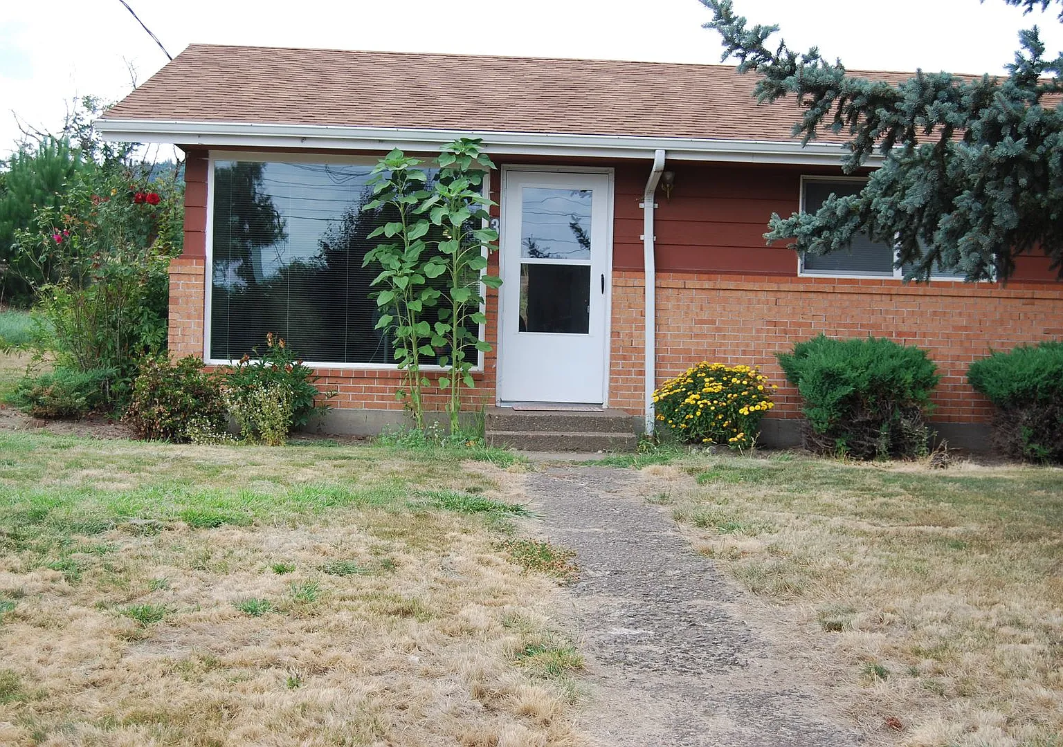BEL240 — Photo 1