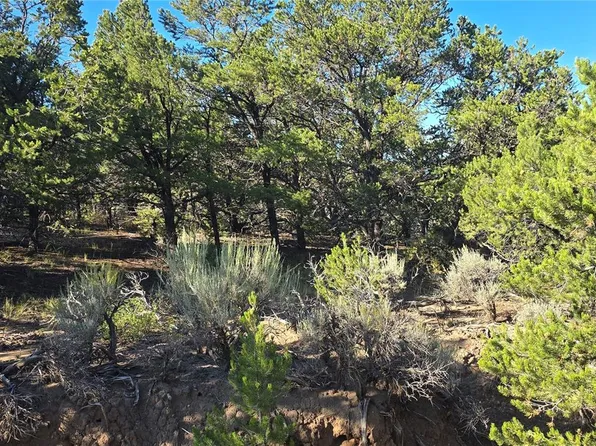 Lot 1362 Dunn Road, Fort Garland, CO 81133