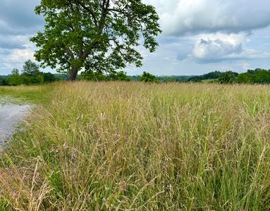 15923 Madison Pike, De Mossville, KY, 41033