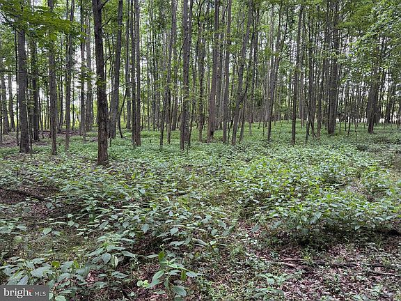 5th image of Trunk Line Rd