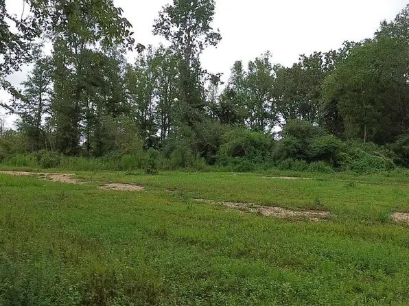 1334 Horseshoe Rd W, Amite, LA 70422