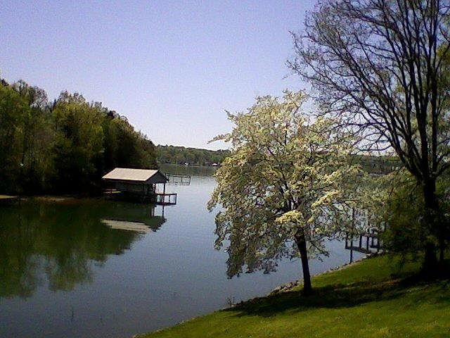 view from deck