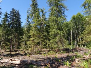 146 Tillie Rd, Onalaska, WA 98570