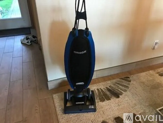 Vacuums with bags