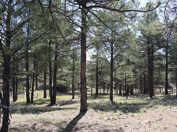 4th image of 2980 S Solitaires Canyon Dr #349