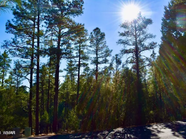 1091 Hillside Dr, Show Low, AZ 85901