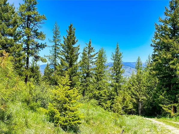 1111 tbd Doe Mountain Road, Tonasket, WA 98855
