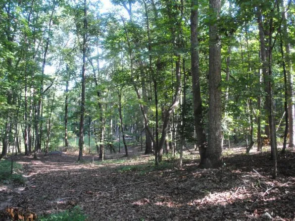 249 N Ridge Dr, La Fayette, GA 30728