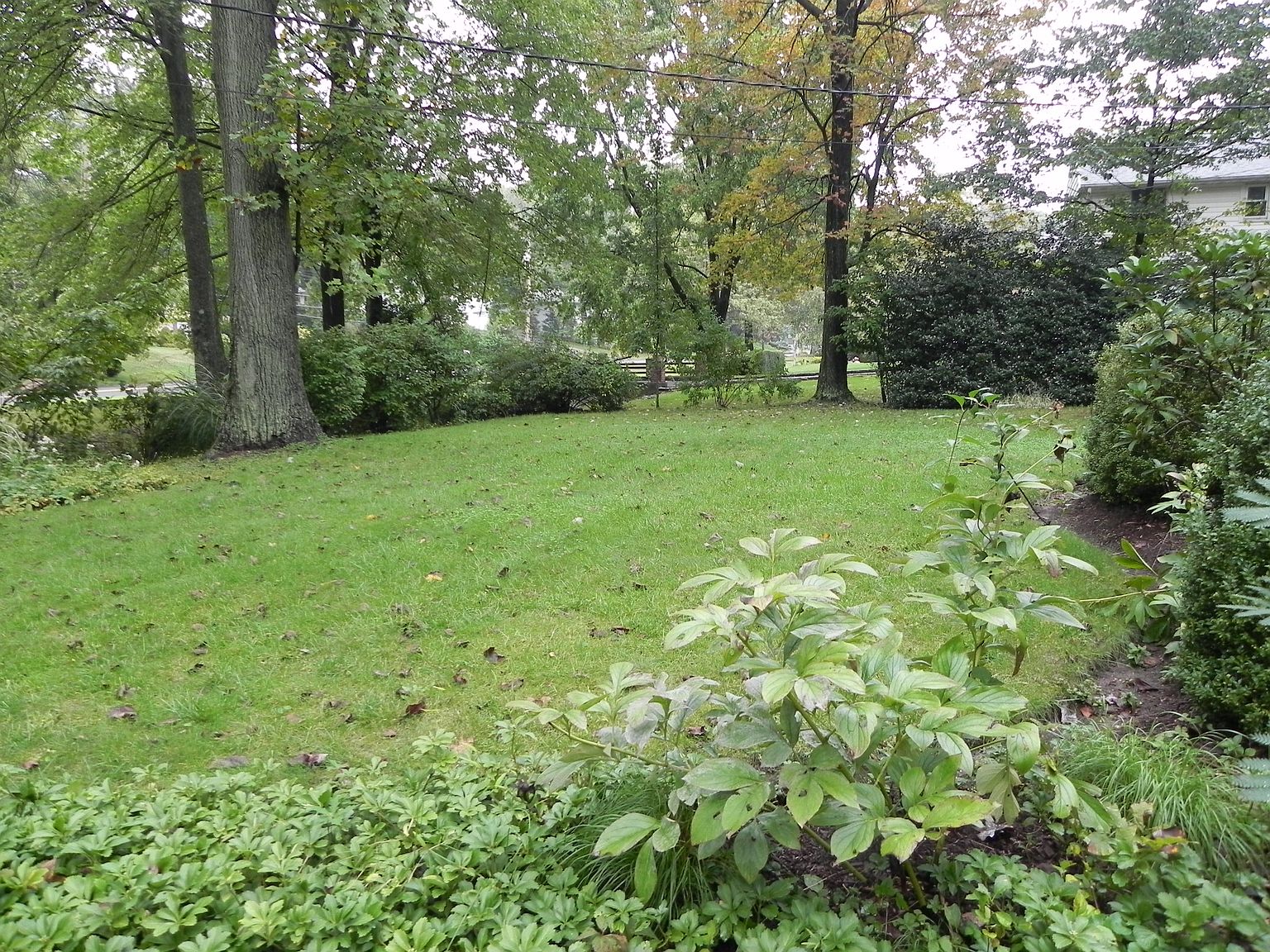 225 Victory Blvd, New Rochelle, NY 10804 Zillow