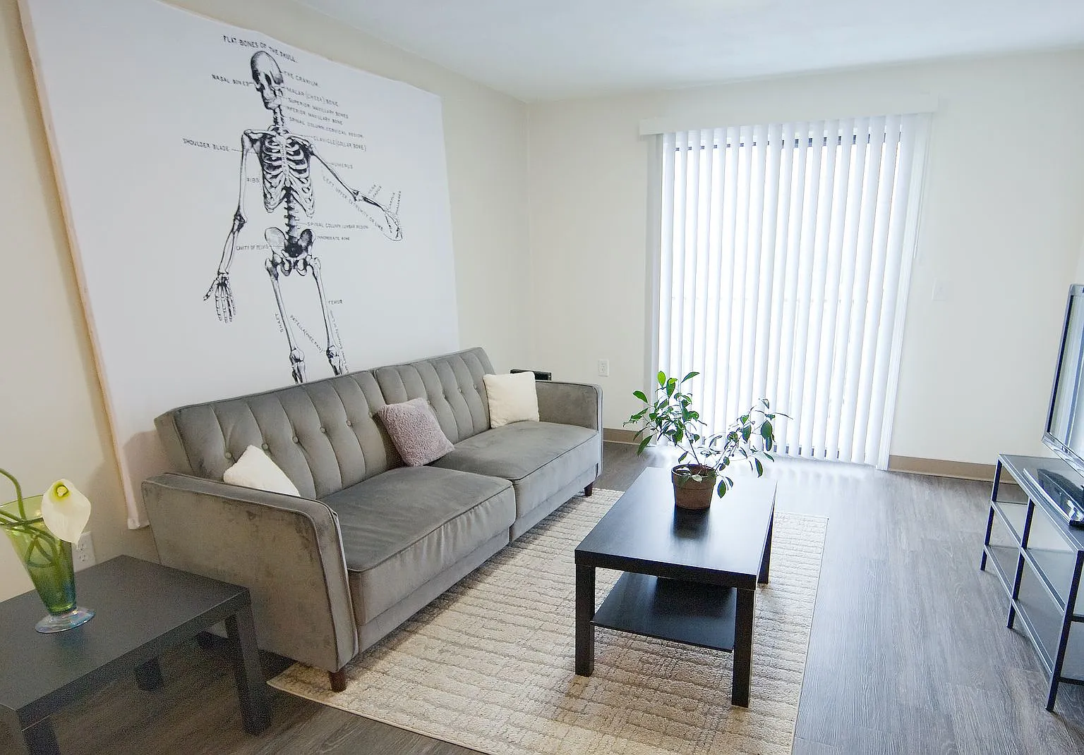 Nice 2 bed in Mission Hill — Photo 4