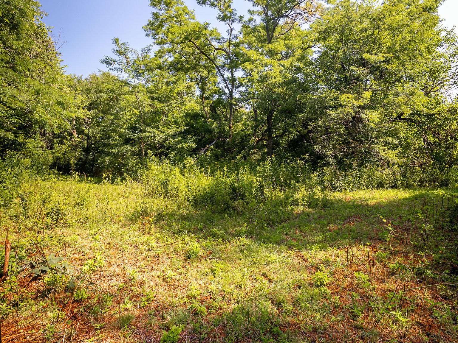 7342 W County Road 580 N, Scipio, IN 47273 MLS 21939839 Zillow