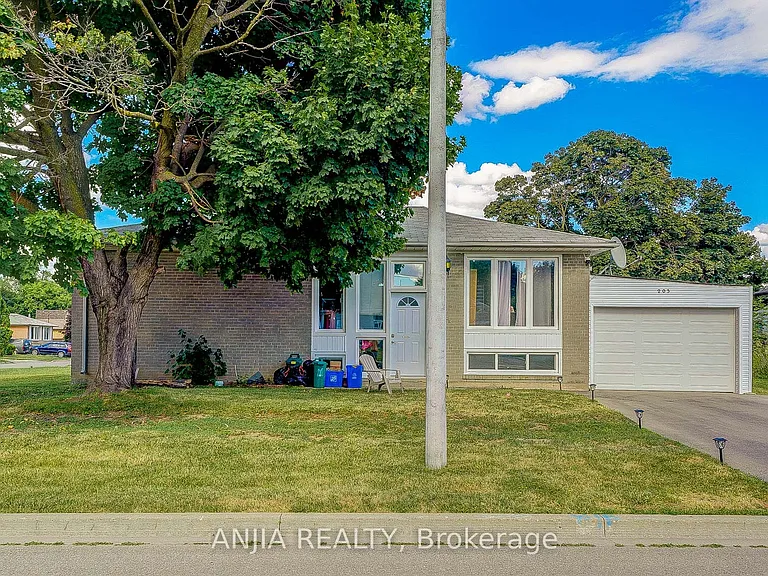203 Norfolk Ave #MAIN FL — Photo 2