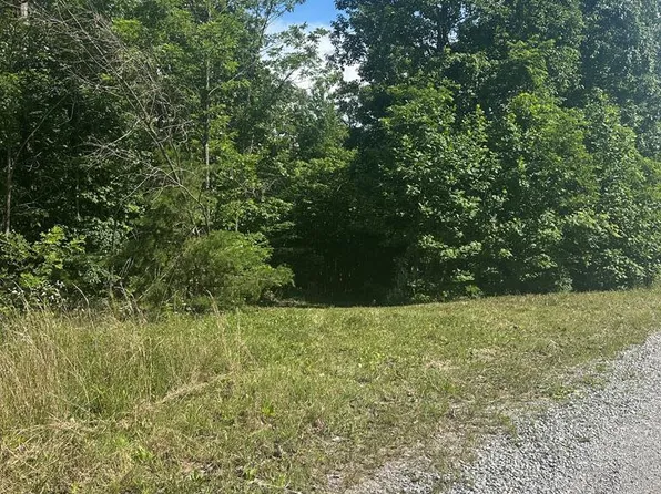 LOT 2 Buckeye Ln, Wilder, TN 38589