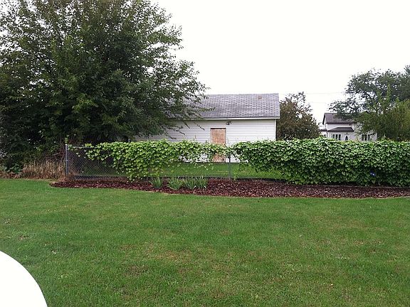 Backyard Bordering East 