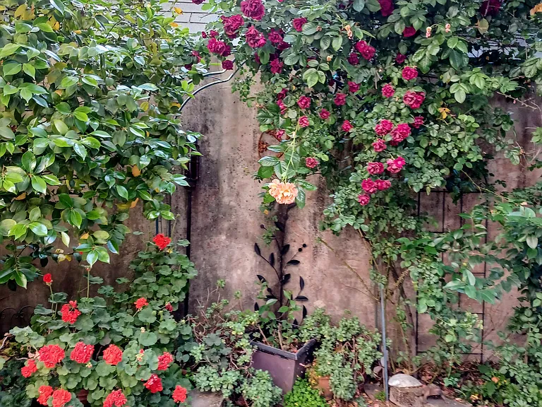 Montgomery Way — Photo 7