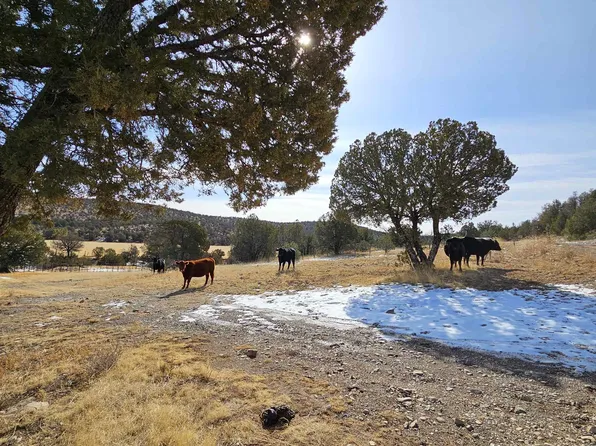 0 Miller Flats Rd, Weed, NM 88354