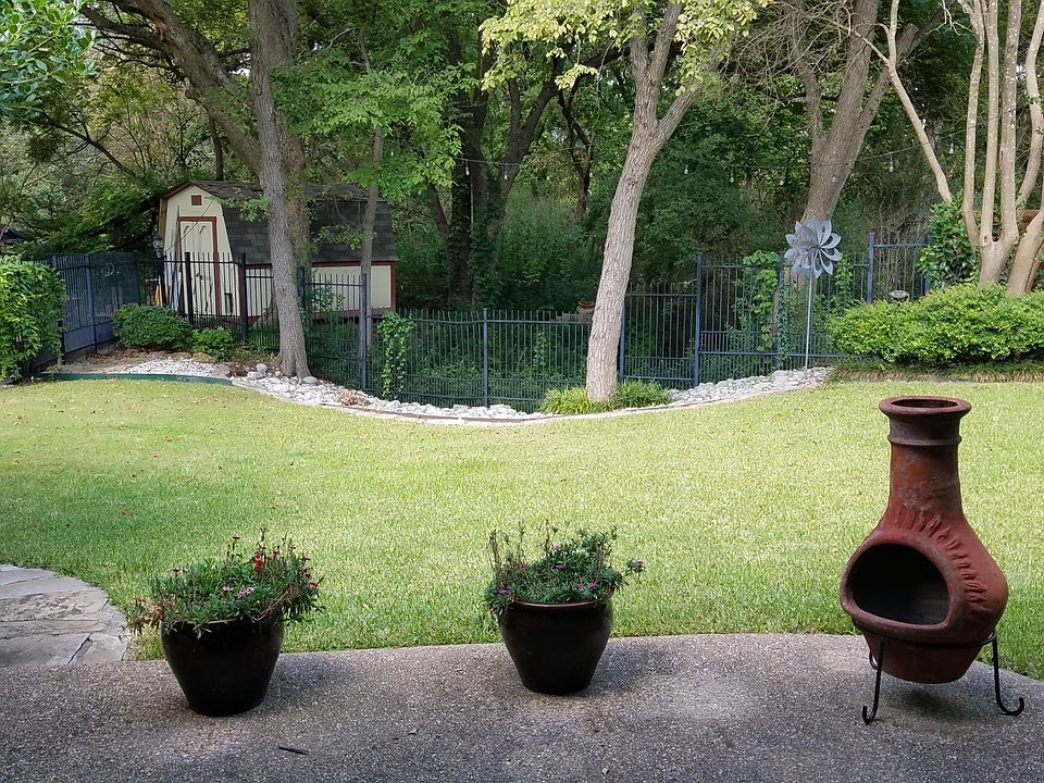 Lush backyard