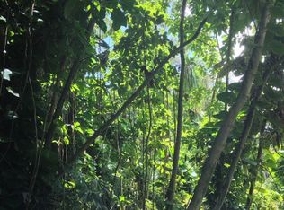 Papai St LOT 1813, Pahoa, HI 96778