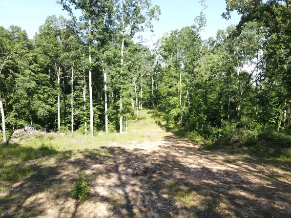 3 Copper Spring Rd Lot 3, Springville, TN 38256