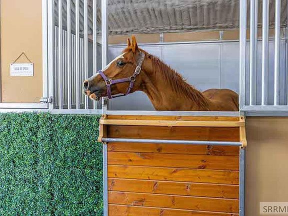 29th image of this home