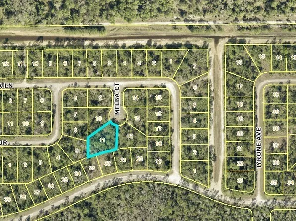 2155 Melba Ct, Lehigh Acres, FL 33972