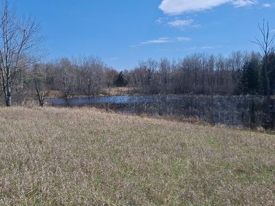 6691 Six Mile Rd, Evart, MI, 49631