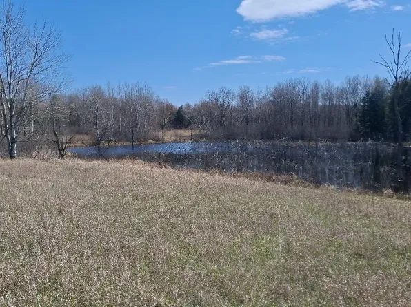 6691 Six Mile Rd, Evart, MI 49631