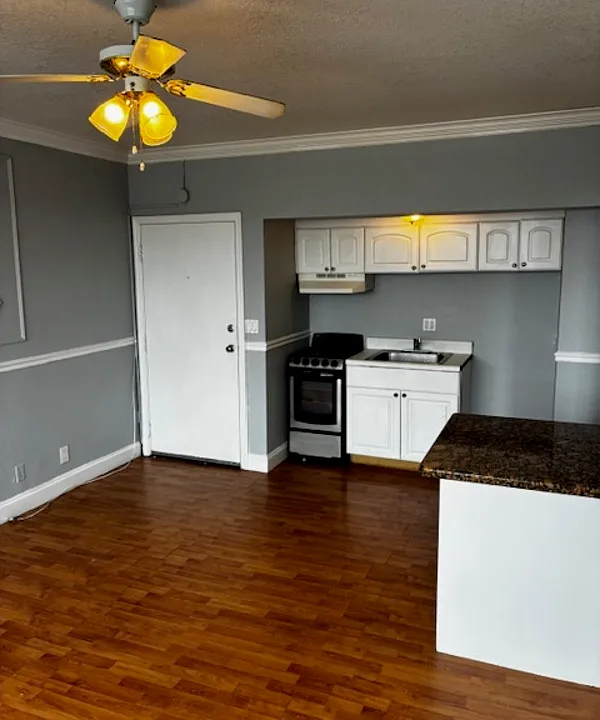 311 W Ashley St #304
