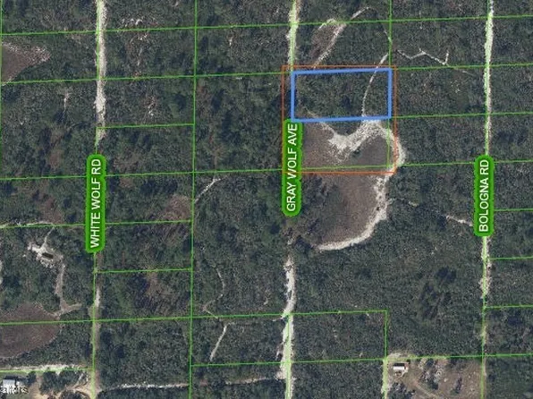 Gray Wolf Ave, Sebring, FL 33870
