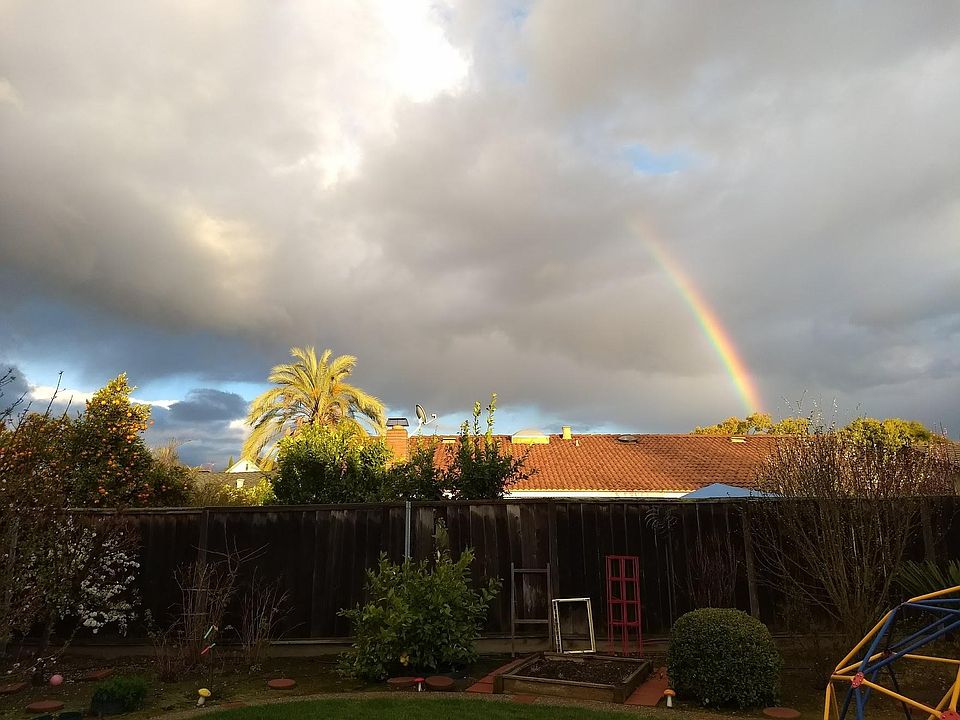 backyard view