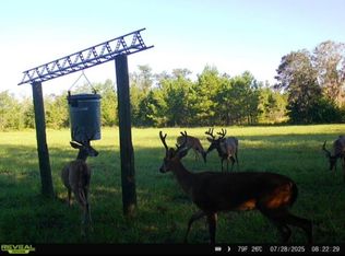 650 NW Flowers Rd, Madison, FL 32340