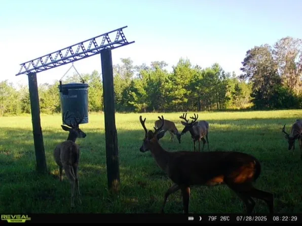 650 NW Flowers Rd, Madison, FL 32340