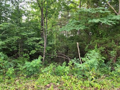 0 Lark St LOT 8, Bedford, VA, 24523
