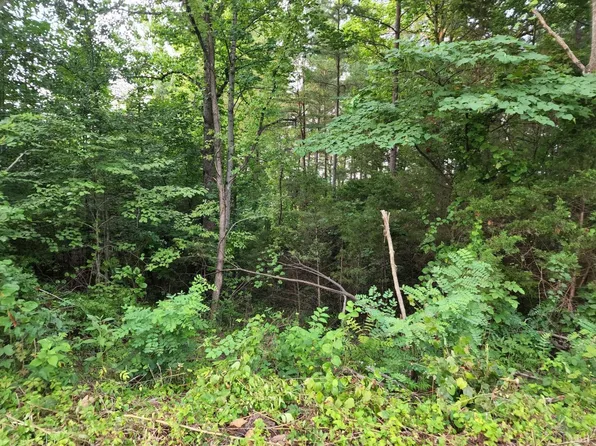 0 Lark St Lot 8, Bedford, VA 24523
