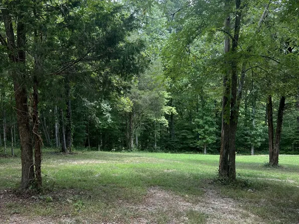 7131 Songbird Springs Ln, Franklin, TN 37064