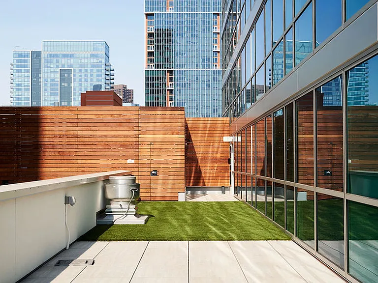 Private pet relief area and rooftop