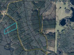 Reedy Creek Xing LOT 111, Westville, FL 32464