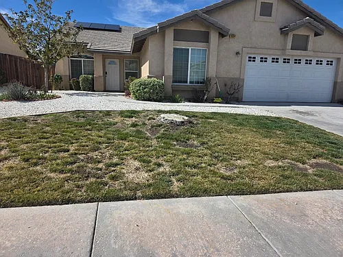 13254 Forest Meadow Ln Photo 1