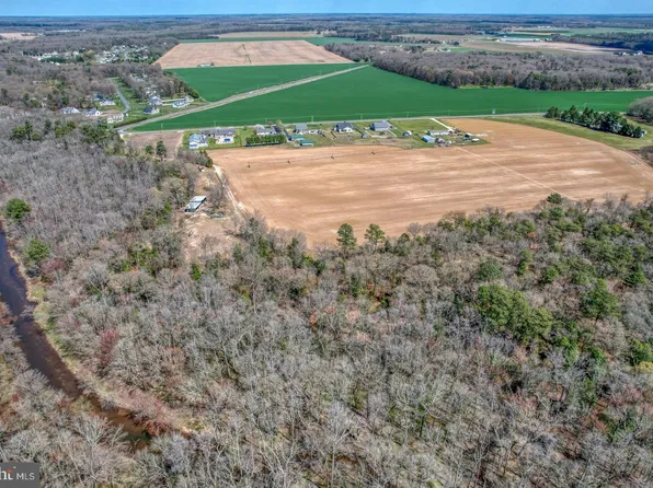 17386 Apple Tree Rd, Bridgeville, DE 19933