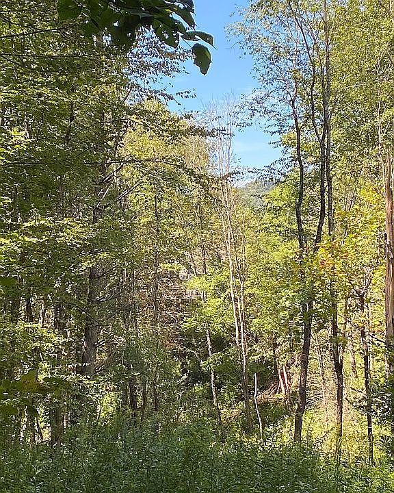 2nd image of Todd Railroad Grade Rd