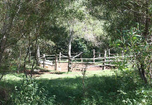 3rd image of Kahana Dr
