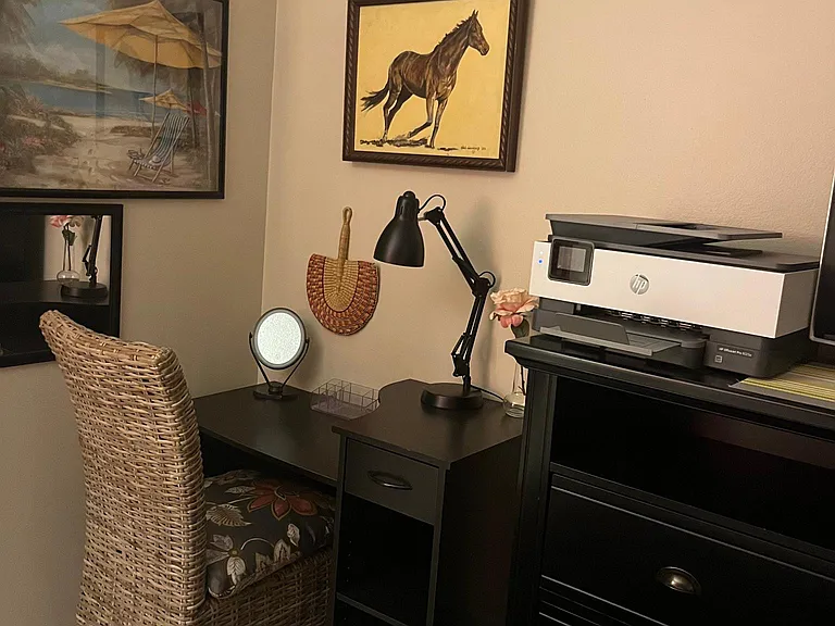 Small desk with chair and use of a printer
