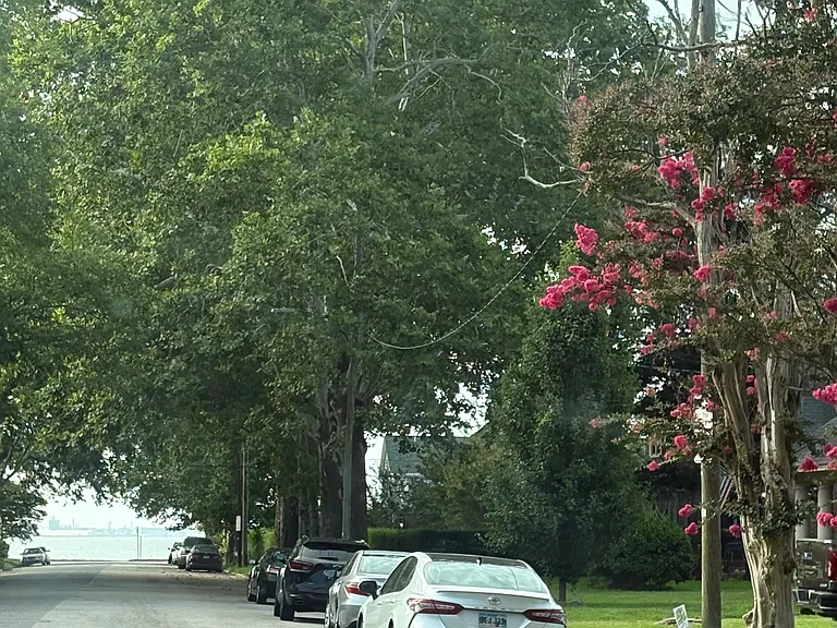 55 Pear Ave — Photo 18