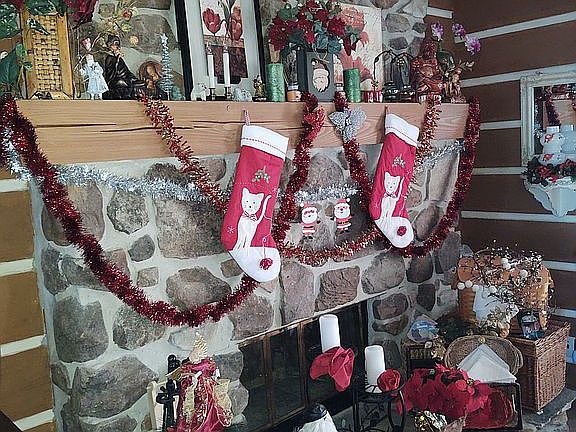 Fireplace plus pellet stove den