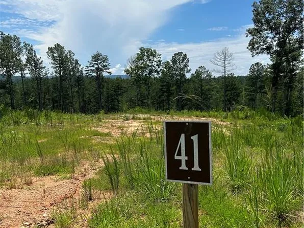 0 Bucktail Way Lot 41, Ellijay, GA 30540