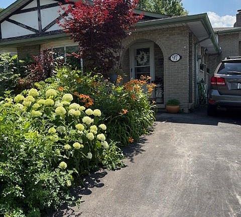 4th image of 97 Guildwood Dr