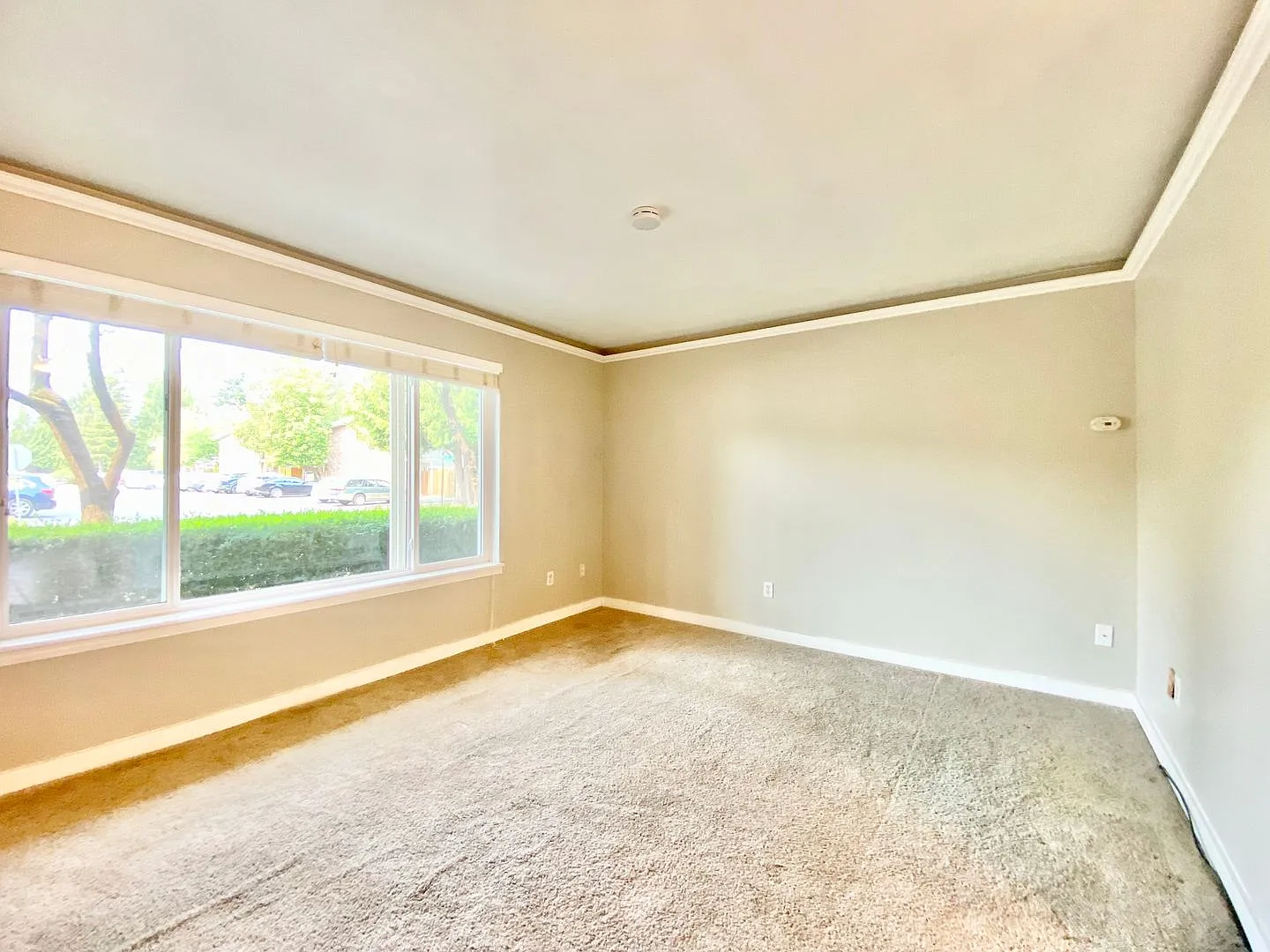 Charming Townhome in Bellevue's Newport Hills Community — Photo 3