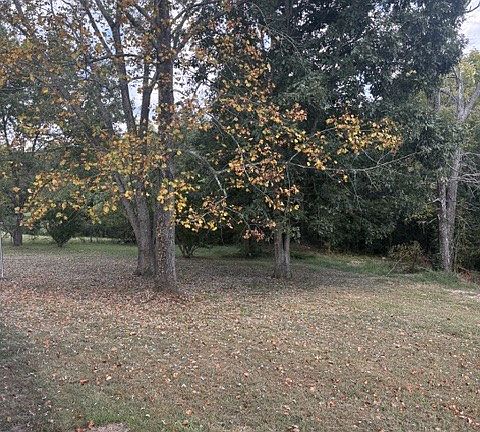 3rd image of 167 Baker Ridge Rd