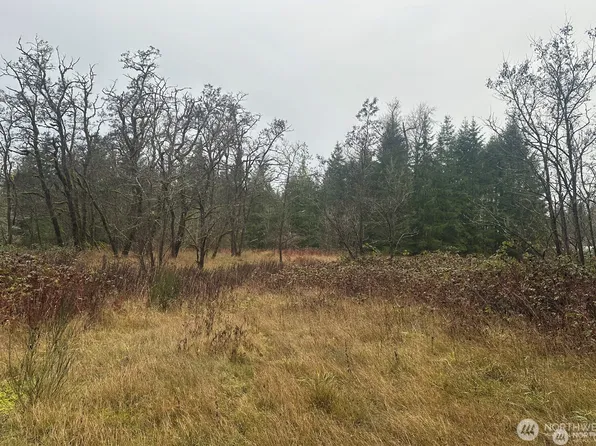 44606 Concrete Sauk Valley Road, Concrete, WA 98237